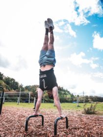 parellette vue 3 figure street workout bar fuzion