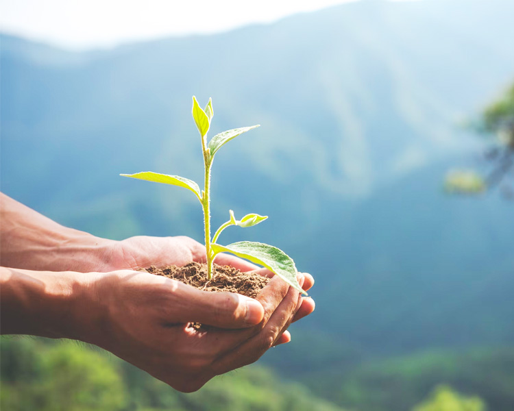 freetness environnement